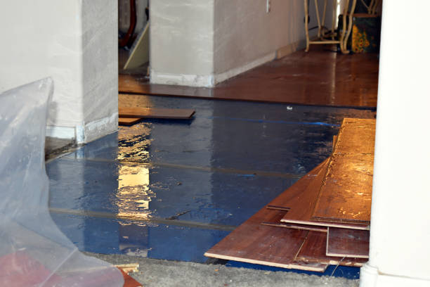 Professional Burst Pipe Cleanup technician working in Decatur, TX